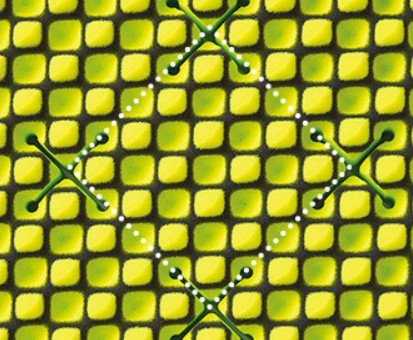 西川エアー クロス