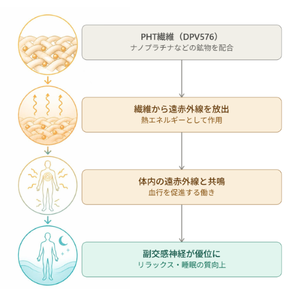 venex-pht-fiber-mechanism.png